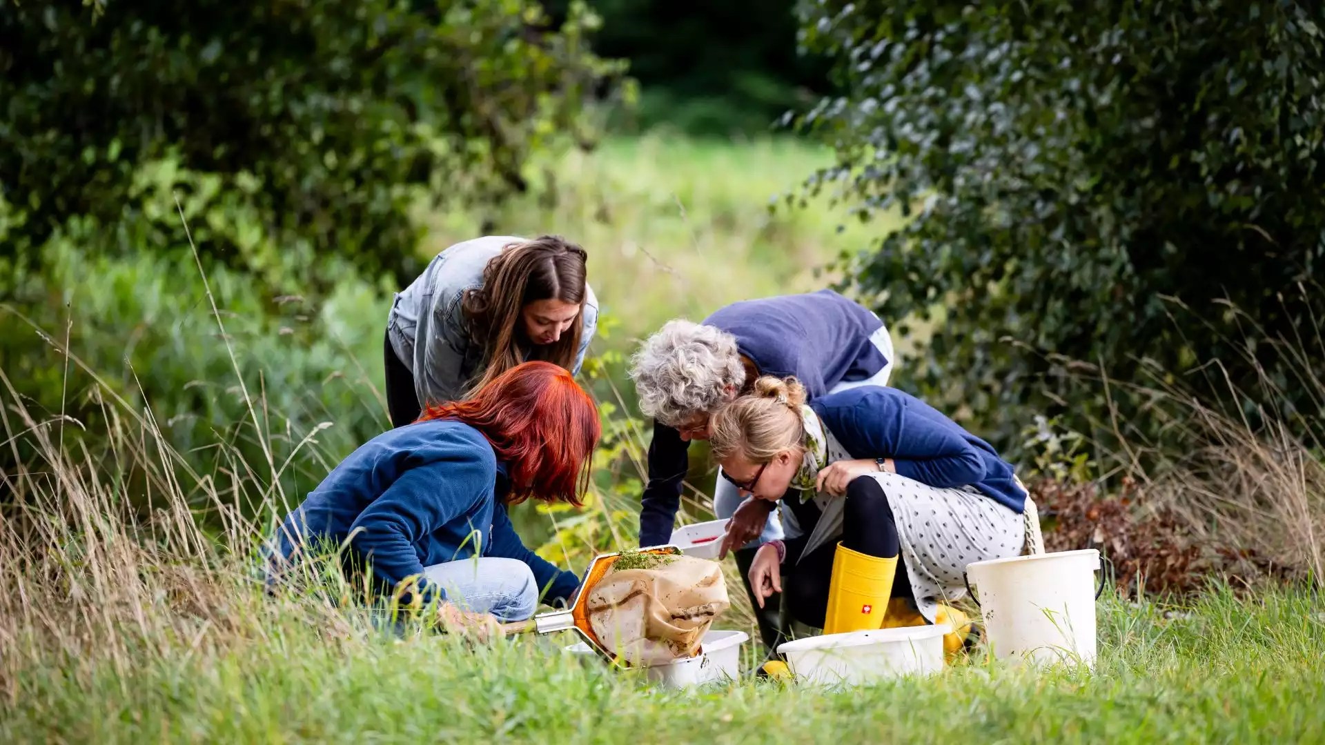 A ‘how-to guide’ for citizen scientists on small stream restoration ...